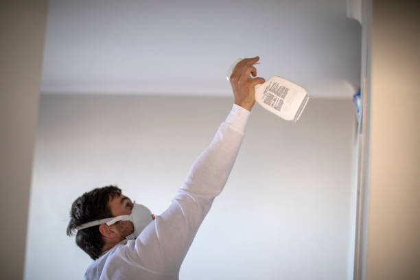 Best Attic Mold Removal  in Seyur, MO